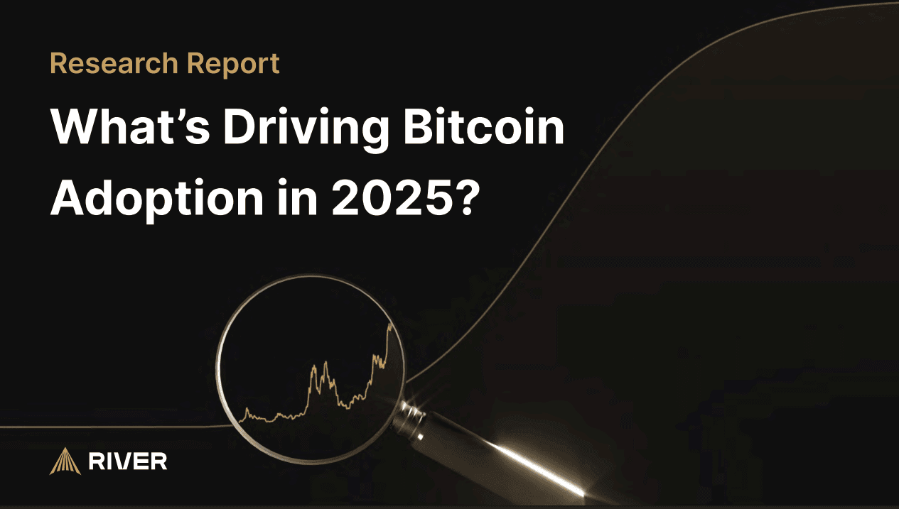 What's Driving Bitcoin Adoption in 2025 - Report cover image from Bitcoin Treasury Solutions